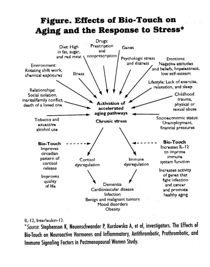 Cycle Of Abuse Chart