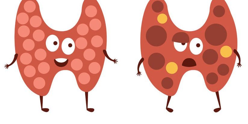 -thyroid-e1479581535297