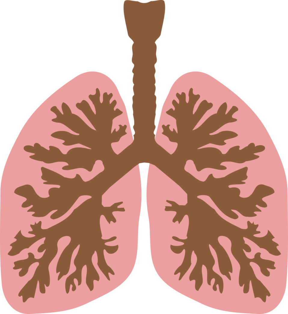 lungs lung issues helped with bio-touch healing